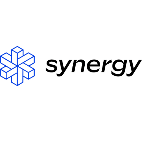 Synergy IT logo